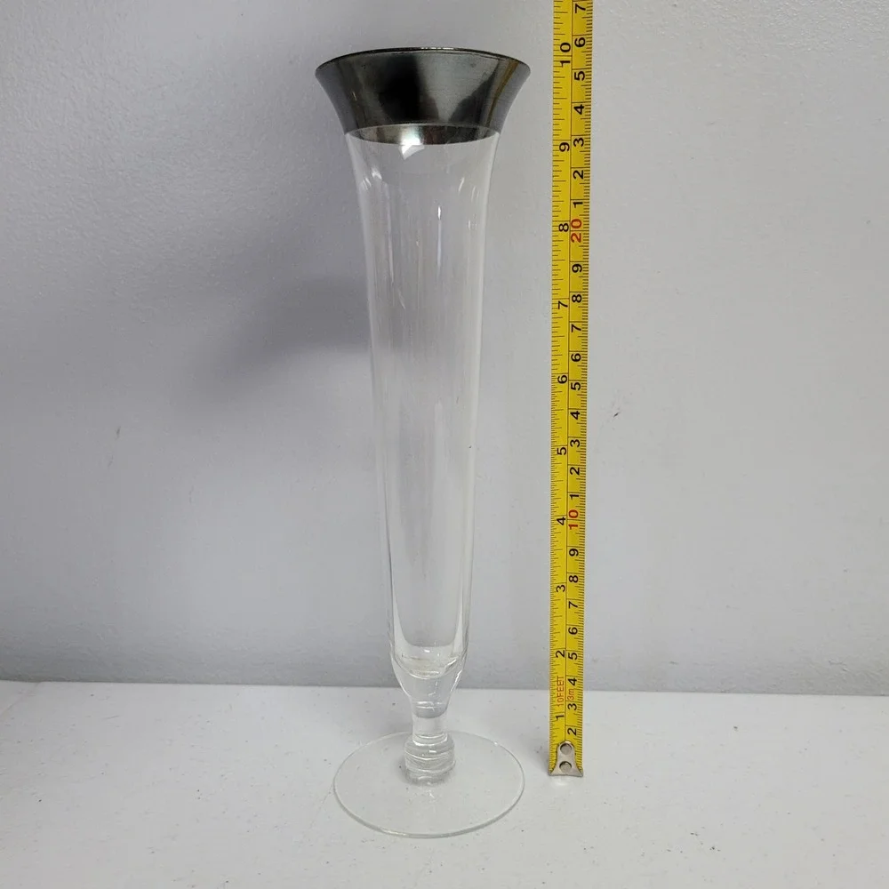 Vintage 10 Inch Clear Glass Bud Vase with Silver Rim Skinny Trumpet Decor